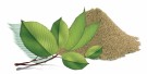 Pokusa Elm Bark 100g thumbnail