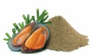 Pokusa Green Lipped Mussel 600g thumbnail