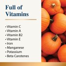 Karnela Pumpkin Powder 200g thumbnail