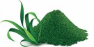 Pokusa  Spirulina 250g thumbnail