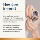 Karnlea Dental with Mint 200g  thumbnail