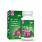 Pokusa Milk thistle 120 Tabletter thumbnail